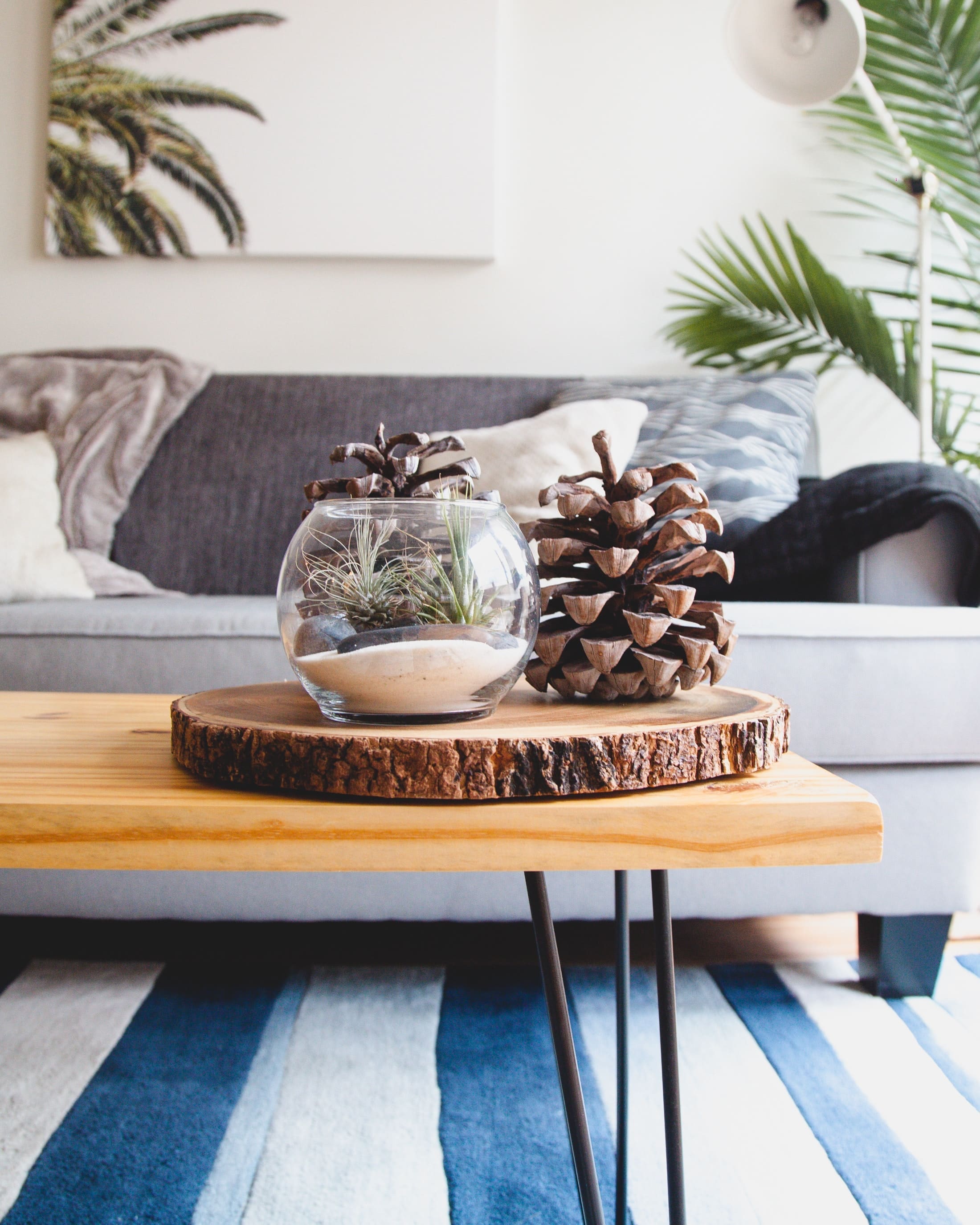 a few pine cones on a coffee table