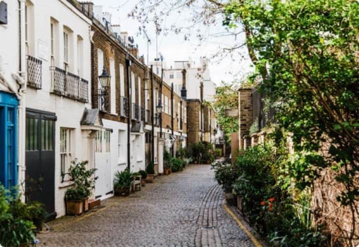 Quiet street with terrace houses all decorated with lots of plants and greenery