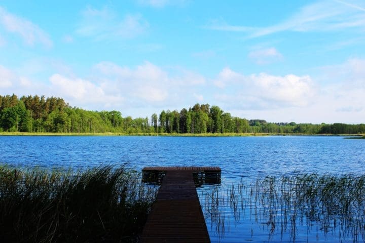 wooden dock leading onto lake